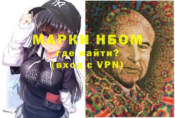 шишки Верея