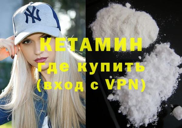 шишки Верея