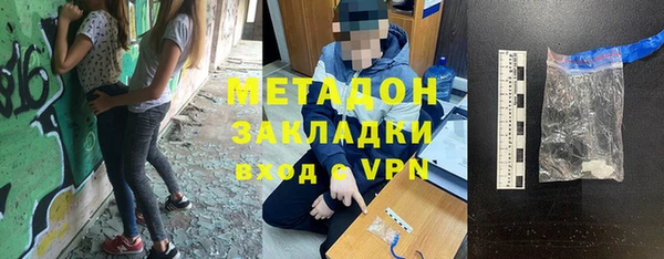 шишки Верея