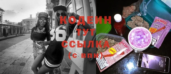 шишки Верея
