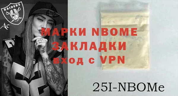 шишки Верея